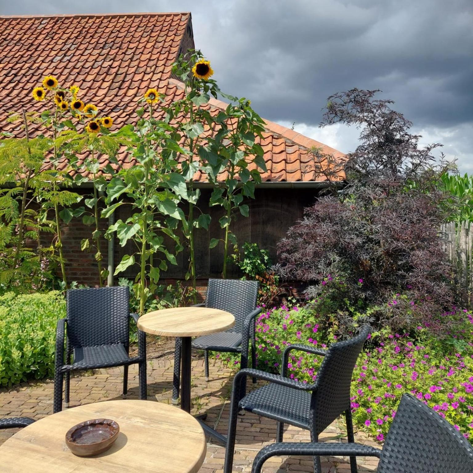 B&B Stefans Pottery Poperinge Ngoại thất bức ảnh